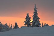 Aurinko kajastaa puiden takaa kaamosaikaan