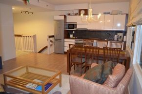 Kitchen and living room of the apartment