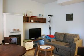 Living room with TV and fireplace