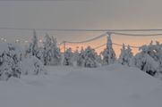 Laskettelurinteen metsä rankan lumisateen jälkeen